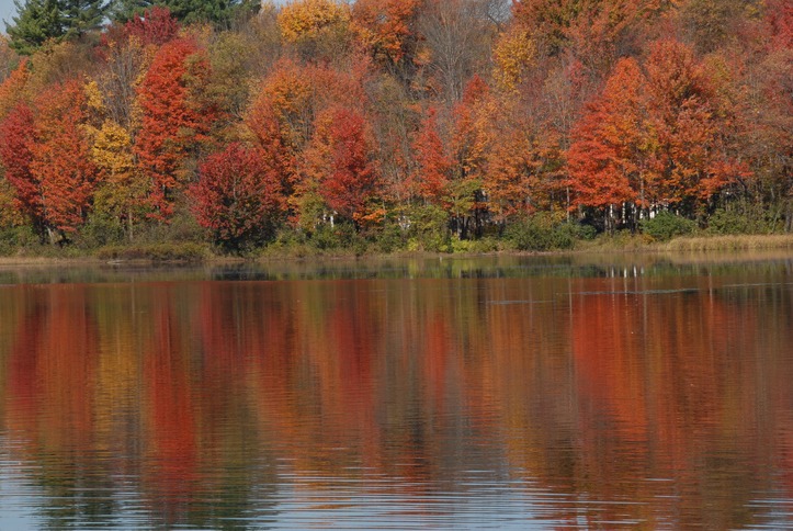 Images of some of the lakes and fall colors and Cooperstown, NY area